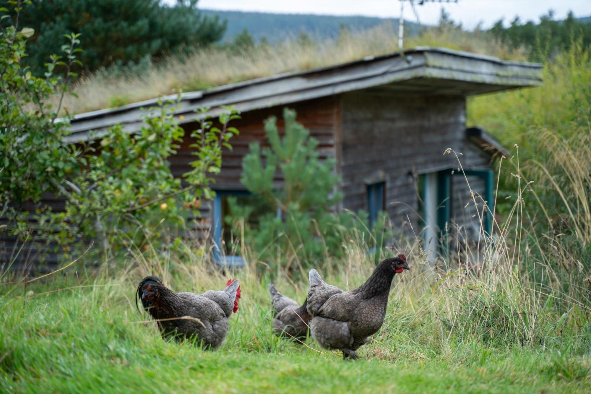 Stone End Studio Inverness Exterior photo